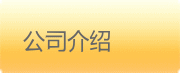 公司介绍